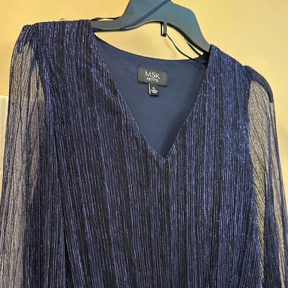 MSK Navy Sheer Pleated Gown